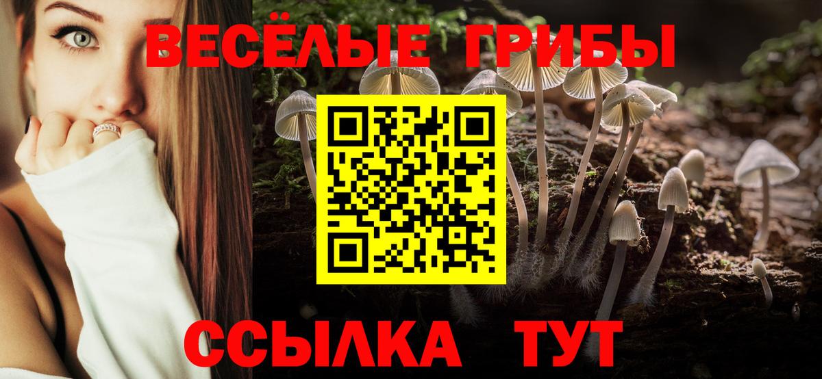 Галлюциногенные грибы мицелий  Псилоцибиновые грибы мухоморы  Кубинка  Вход с VPN 